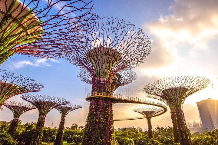 Supertrees and elevated walkway at Gardens by the Bay in daylight