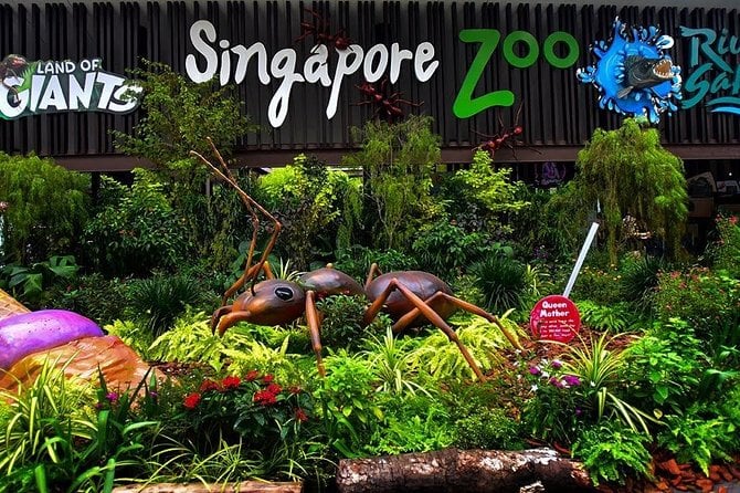Singapore Zoo entrance sign above a tropical garden